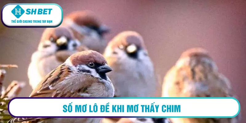 Mơ thấy chim đánh con gì thì trúng lớn? Giải mã giấc mơ 2 Số mơ lô đề khi mơ thấy chim